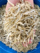 Ikan bilis acciughe secche con - ikan,