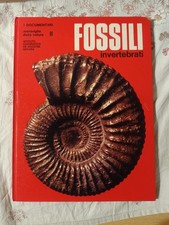 Fossili Invertebrati