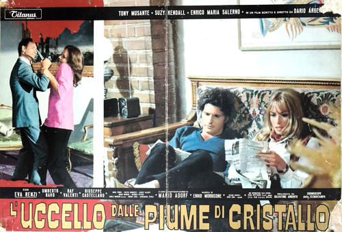 Uccello dalle piume di - dalle,