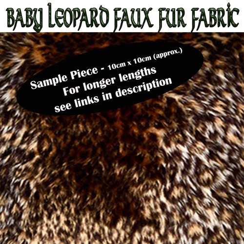Leopardo soffice pelliccia - leopardo,