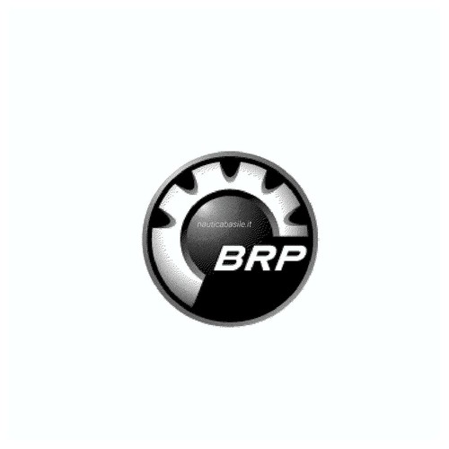 Adesivo logo brp - logo, evinrude