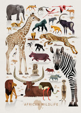 Poster fauna selvatica