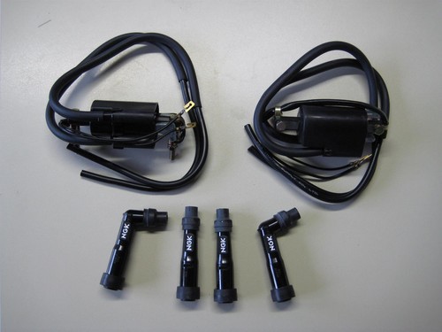Coppia bobine accensione - , oem
