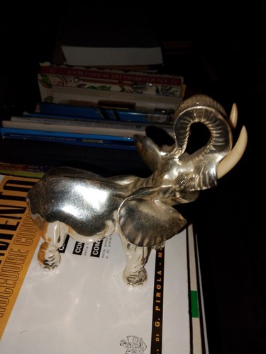 Elefante con zanne bianche - elefante,