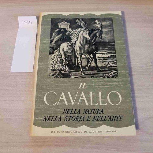 Cavallo nella natura - il,