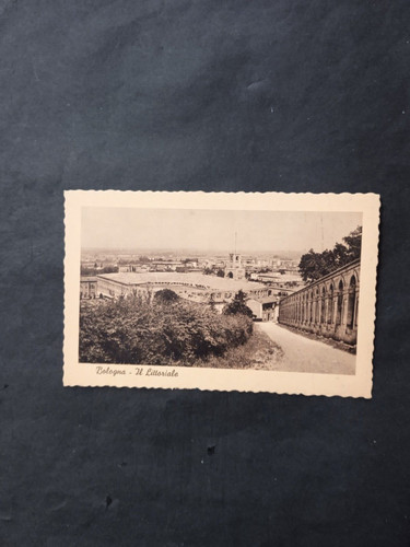 Cartolina bologna stadio il - cartolina, "il
