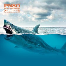 Pnso patton megalodon - pnso, il