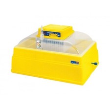 Incubatrice per Uova Gallina