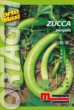 Semi di Zucca Pergola
