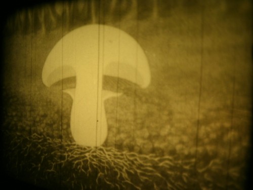 16mm soviete education cap - education, "