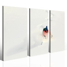 Quadri sciatore montagna - sciatore,