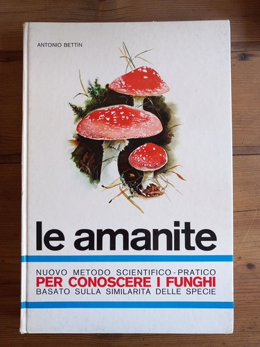 Antonio bettin amanite - le,