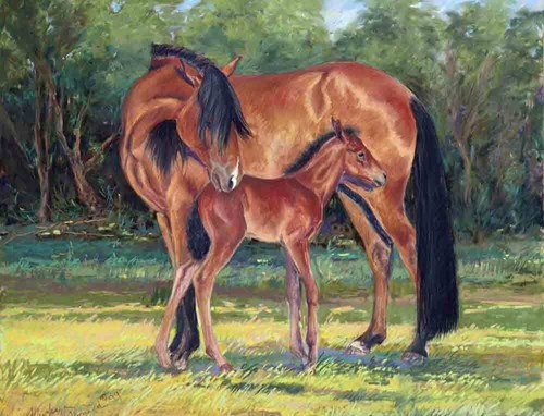 Piastrella accento - , e