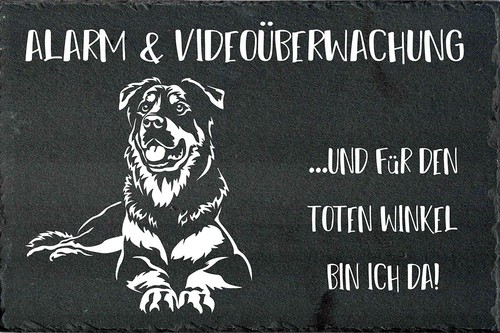 Beauceron cartello - beauceron,