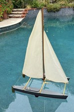 ~ Catamarano RC WILD CAT
