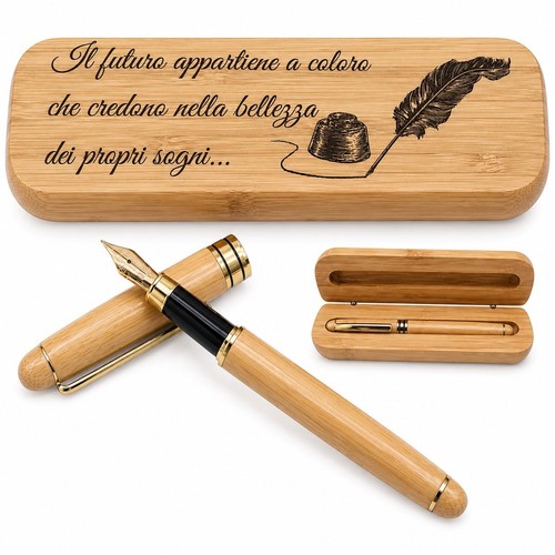Penna stilografica elegante - penna,