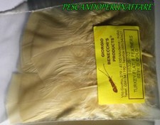 GIORGIO BENECCHI cod.19532611