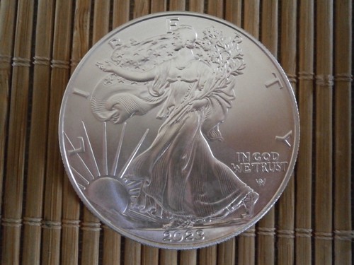 Usa dollaro oncia argento - usa,