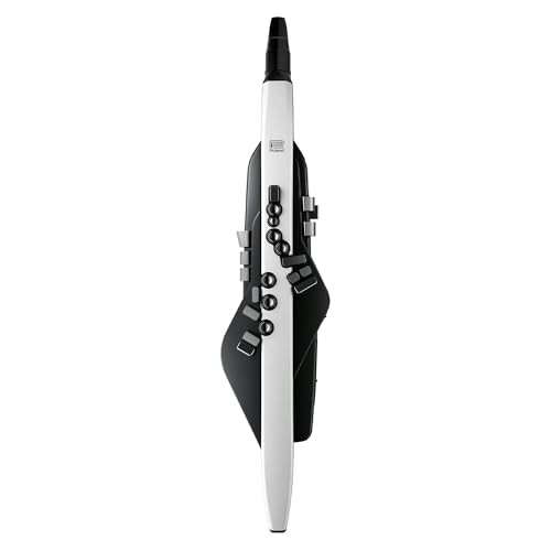 Roland aerophone 20 - aerophone, ae-20
