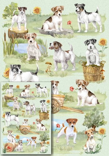 Carta regalo cane - , russell
