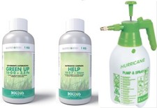 Bottos - GREEN UP 1lt Rinverdente + Concime HELP Micro 10+5+7+da 1lt + pompa 2L