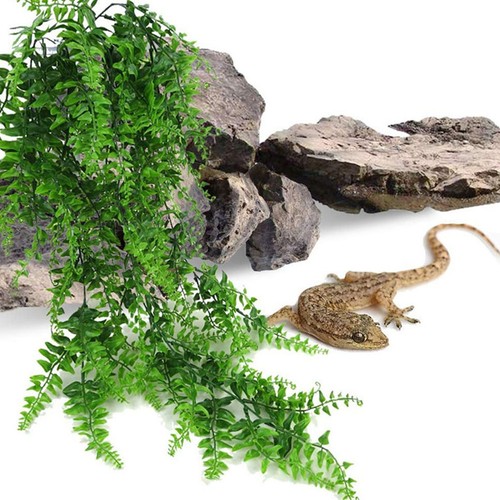 Sets decori per terrario - per,