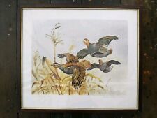 QUADRI STAMPE ROBERTO LEMMI