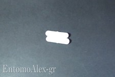 ancoretta magnetica PTFE