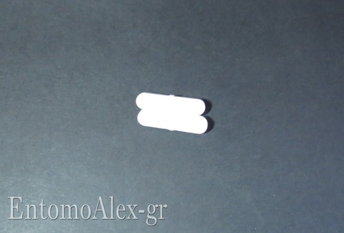 Ancoretta magnetica ptfe - ancoretta,