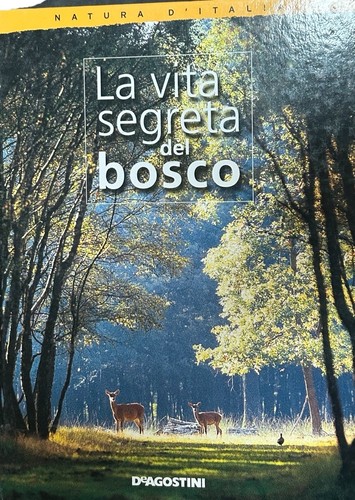 Vita segreta del bosco - segreta,