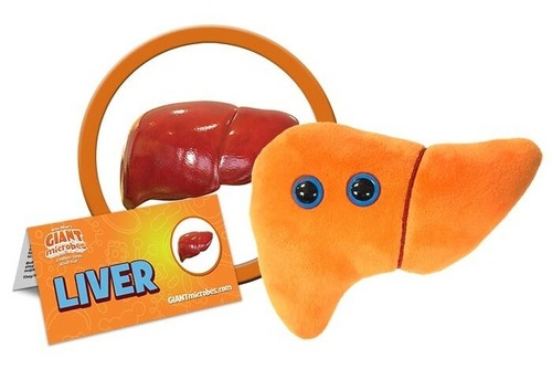 Giantmicrobes original fegato - giantmicrobes,