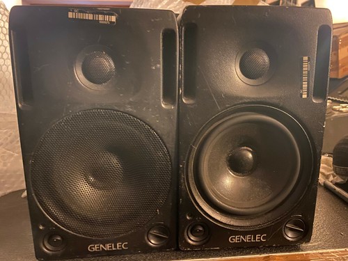 Genelec 1029a coppia - genelec,