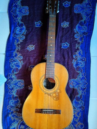 Chitarra classica ibanez - chitarra,