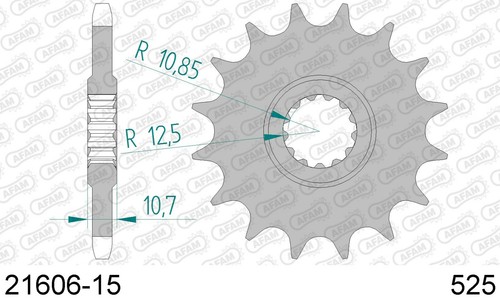 21606 pignone afam - 15, denti