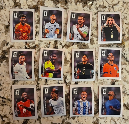 2026 panini world cup stickers - panini,