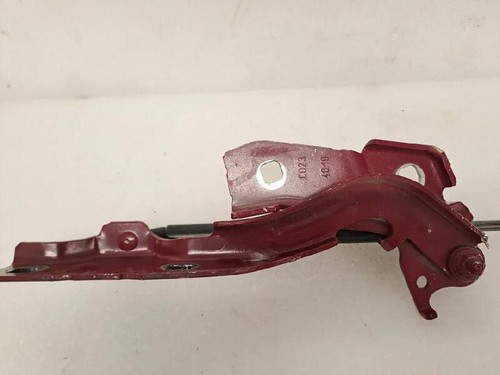 50545215 cerniera cofano - 50545215,