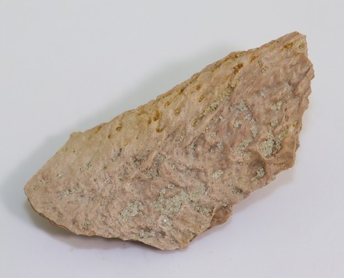 Coccodrillo gasucco di - coccodrillo,,