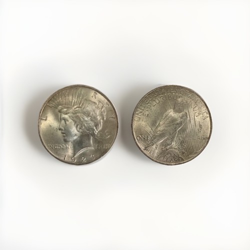1923 moneta dollaro - moneta, usa