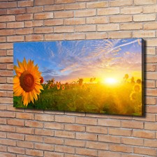 Tulup Dipinto Su Tela Pittura