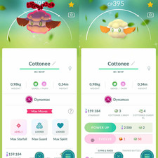 Pokemon Shiny Dynamax Cotonee