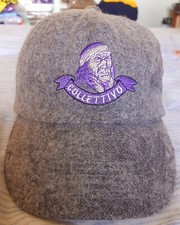 Collettivo Autonomo Viola