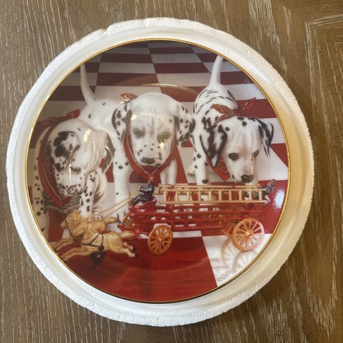 Danbury mint puppy - mint,