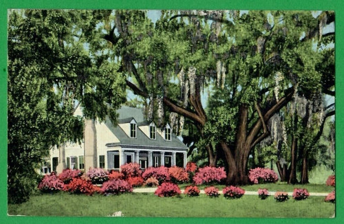 Old south home azalee mobile - south,