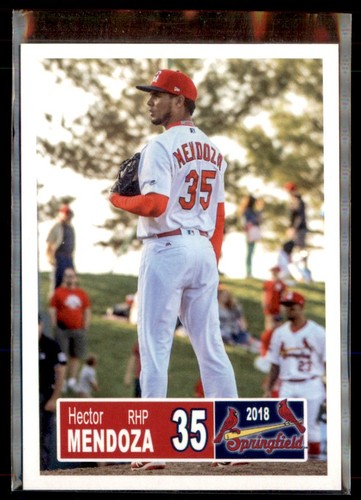 Tribuna springfield cardinals - tribuna,