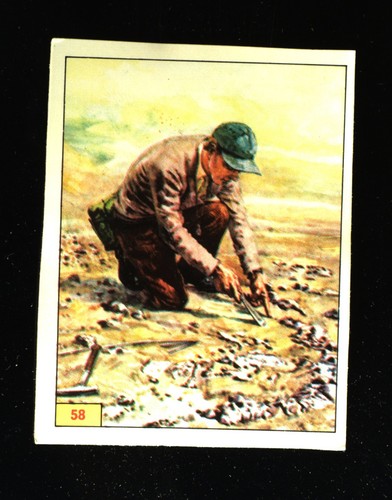 Animali preistorici - preistorici, (1974)