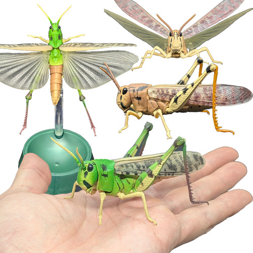 Bandai gashapon migratory - bandai,