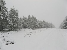 Photo 6x4 Ride Dunter Law