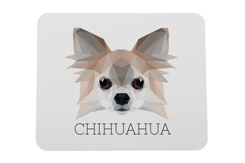 Chihuahua pelo lungo - a,