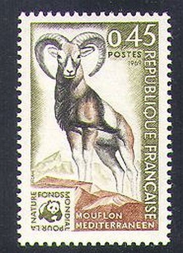 Wwf francia 1969 - 1969, fauna