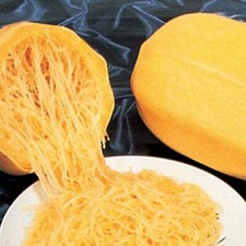 SEMI SEMENTI SPECIALI ZUCCA